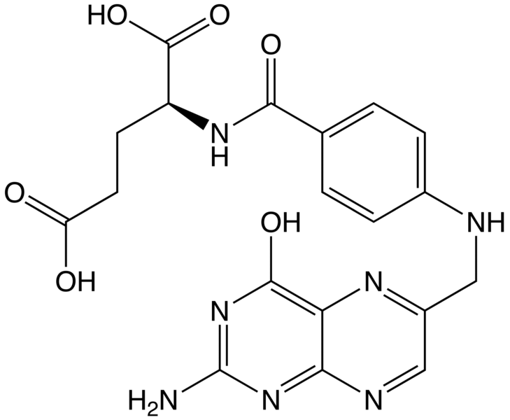 Structure of folic acid
